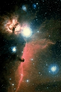 horsehead