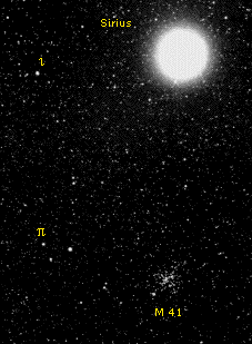 M 41