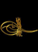 �C�NC� MEHMED