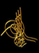 iKiNCi MUHMUD