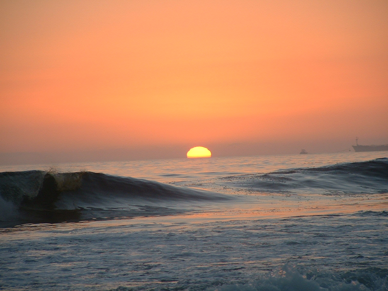 The beach in Los Angeles