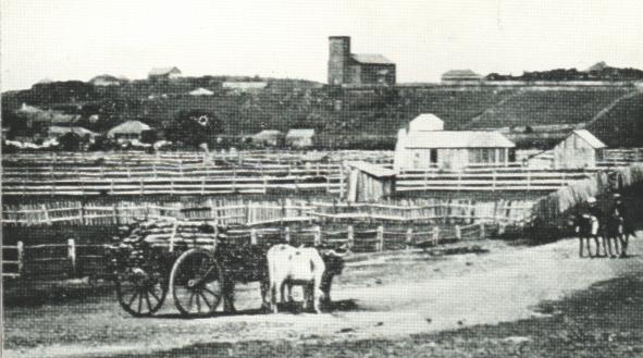 'oldtimer' early view of town
