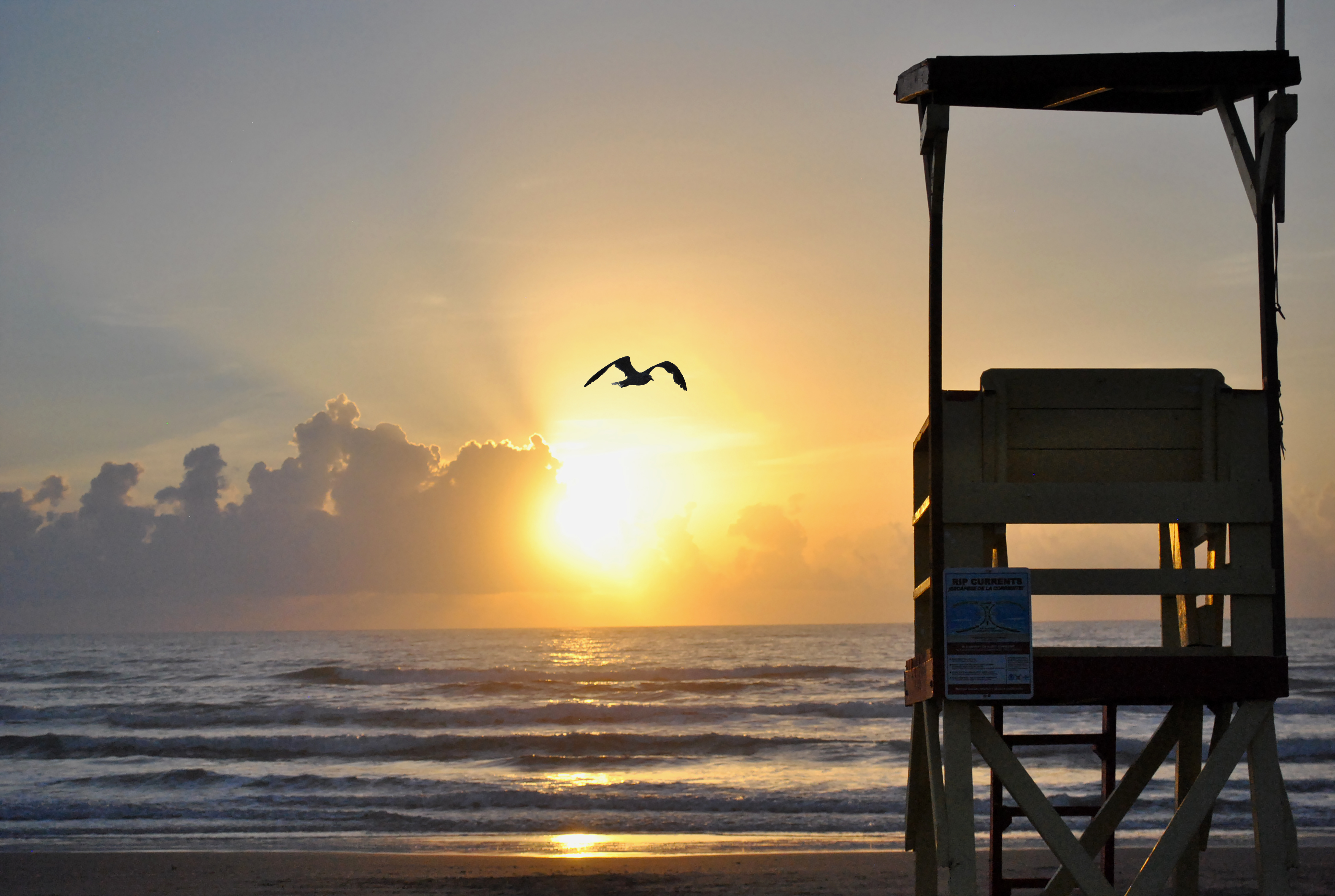 sun