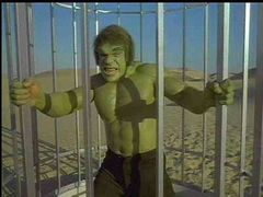 Lou Ferrigno as the Hulk