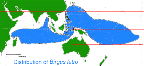 Worldwide distribution of Birgus latro