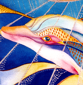 Celebration
Hawaiian Dolphin