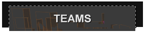 TEAMS