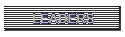 LEADERS