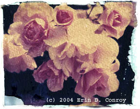 Polaroid Transfer