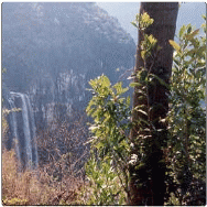 Natureza