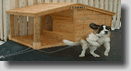 For Pets / Animalerie