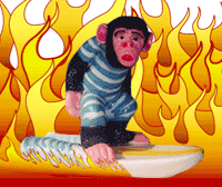 The LCG monkey