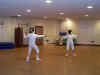 fencers.jpg (282801 bytes)