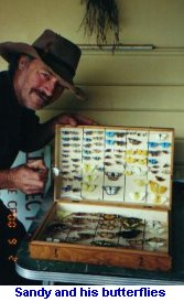 [sandy and his butterflies]