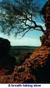 [a breath-taking view]