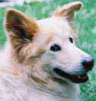 Yuki