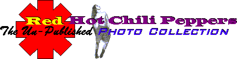 Red Hot Chili Peppers Photo Collection