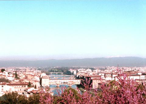 The Most Beautiful City