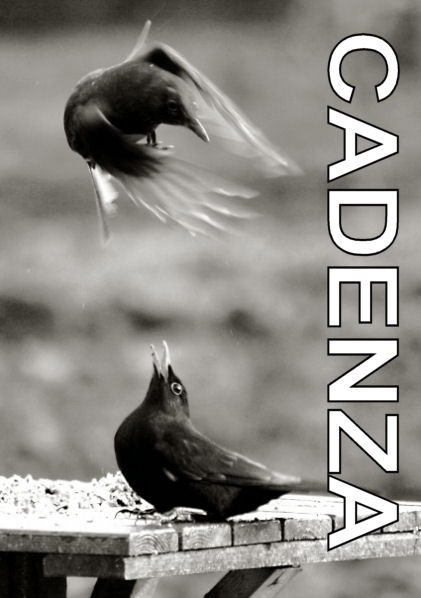 Cadenza