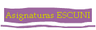 Asignaturas ESCUNI