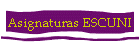 Asignaturas ESCUNI