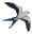 kitebull.gif (1231 bytes)