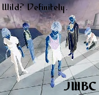 JWBC - the five pilots