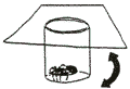 figc.gif (1154 bytes)