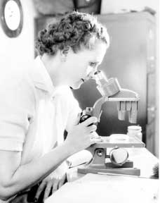 Rachel Louise Carson, escritora, cientista e ecologista norte-americana