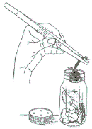 fig10.gif (5762 bytes)