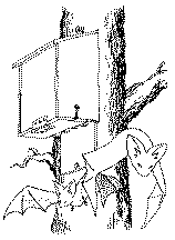 bathouse.gif (7933 bytes)