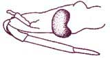 fig4.JPG (7581 bytes)