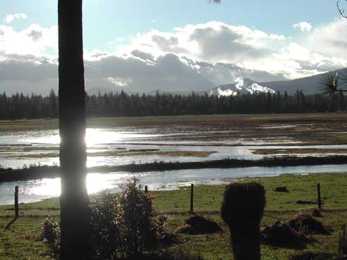 It's not really always this wet!&nbsp; This is where Burney Crk and Goose Crk meet!