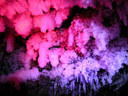 Picture taken with 2 red and 4 blue LED lites.&nbsp;&nbsp; FUJI Finepix camera