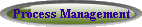 Process Management