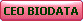 CEO Bio-Data