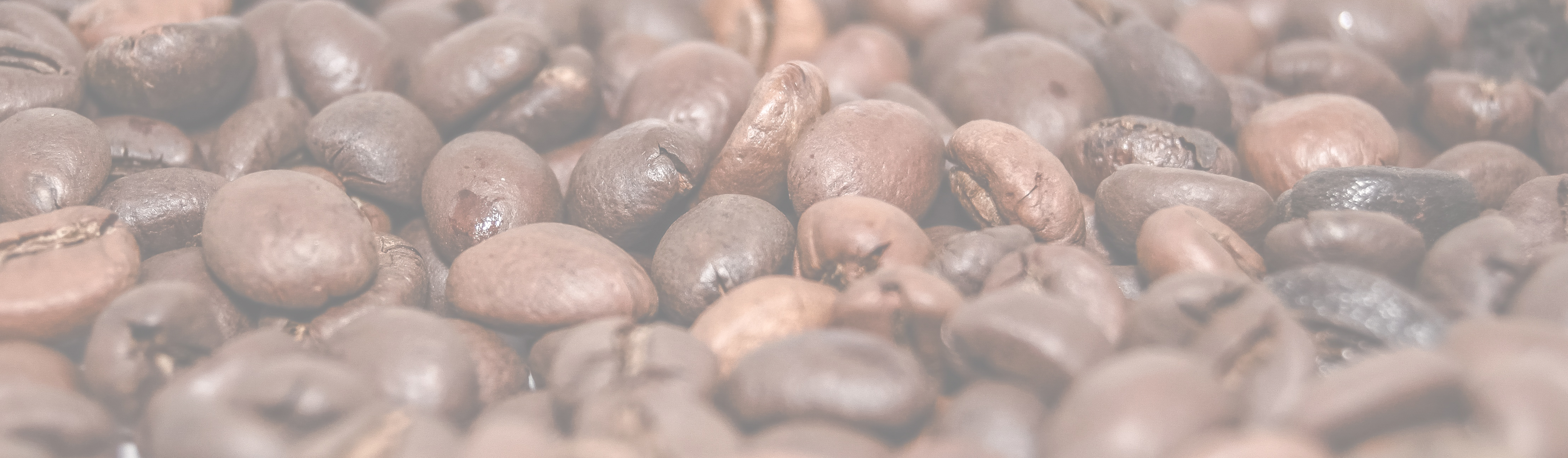 Opaque Coffee Beans