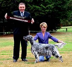 Best and Intermediate in Show