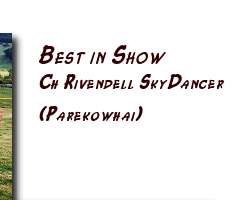 Best and Reserve in Show