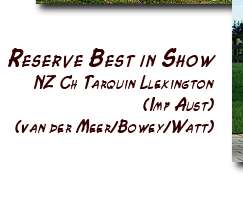 Best and Reserve in Show