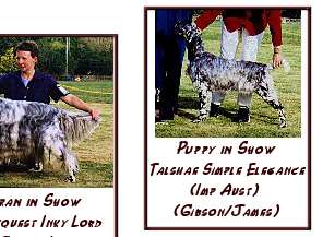 Show Results