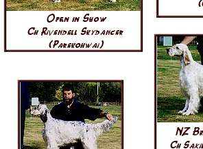Show Results