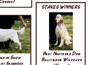 Show Results