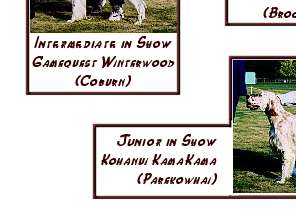 Show Results