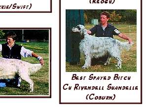 Show Results