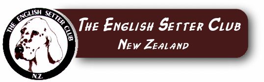 The English Setter Club of New Zealand - Welcome to our Website