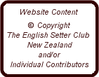 frame_copyright.gif
