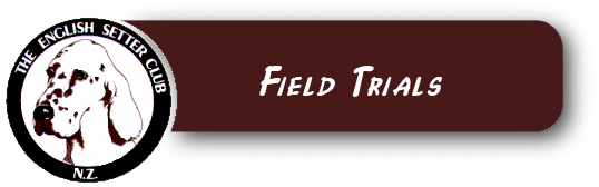 header_field.gif