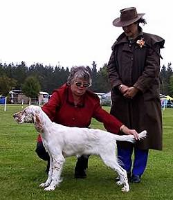Baby Puppy in Show