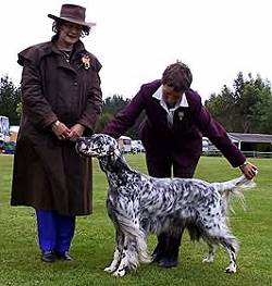 Reserve Best and Open in Show